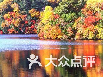 元旦是几月几号